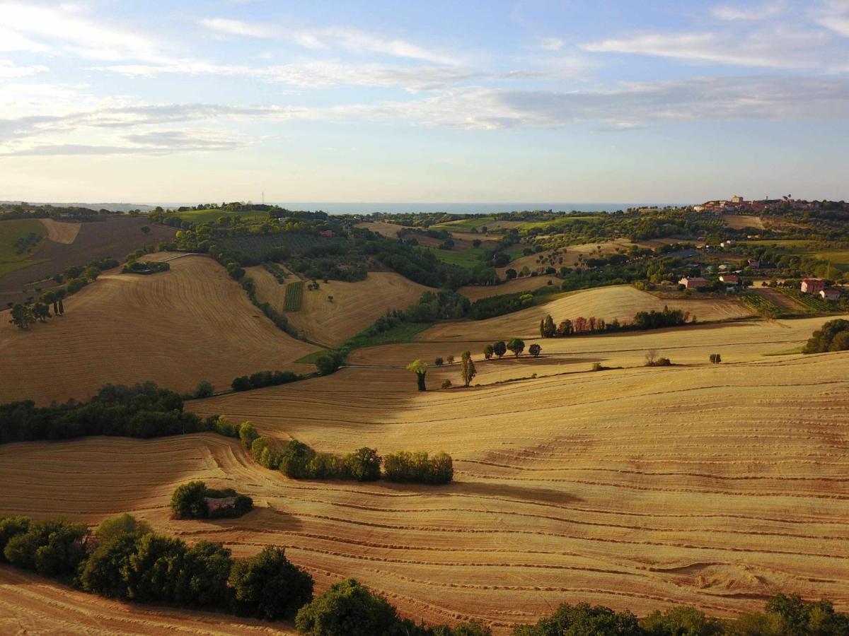 La Meriggia Agriturismo- Ampio Appartamento Con Terrazza Esclusiva Ancona Ngoại thất bức ảnh