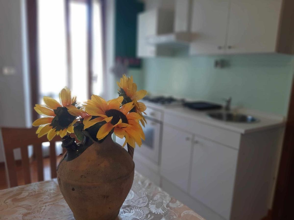 La Meriggia Agriturismo- Ampio Appartamento Con Terrazza Esclusiva Ancona Ngoại thất bức ảnh