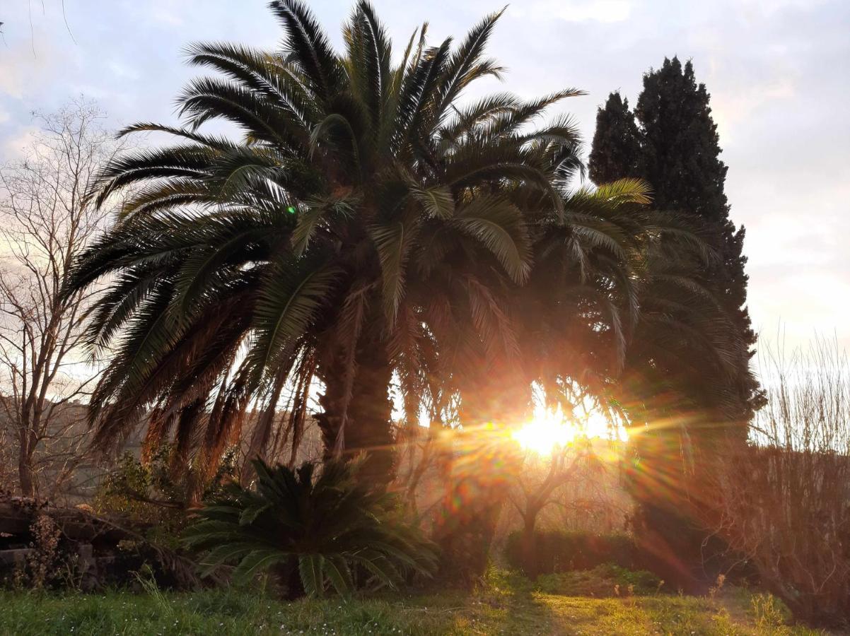 La Meriggia Agriturismo- Ampio Appartamento Con Terrazza Esclusiva Ancona Ngoại thất bức ảnh