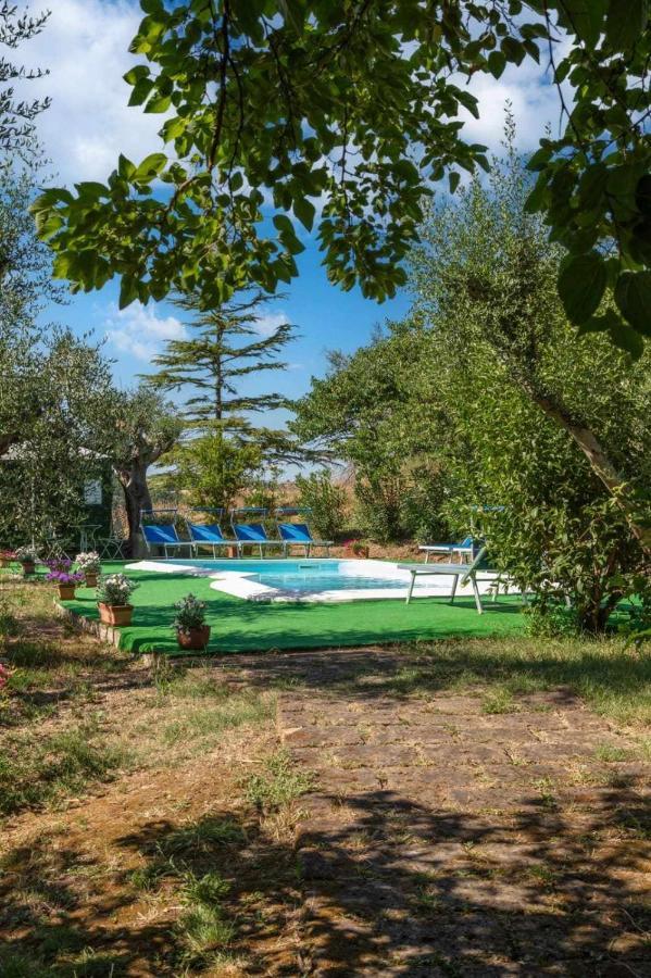 La Meriggia Agriturismo- Ampio Appartamento Con Terrazza Esclusiva Ancona Ngoại thất bức ảnh
