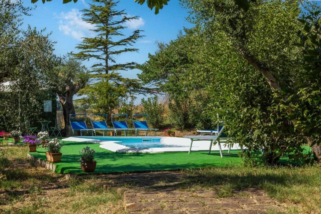La Meriggia Agriturismo- Ampio Appartamento Con Terrazza Esclusiva Ancona Ngoại thất bức ảnh